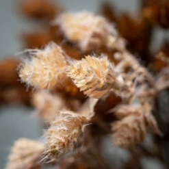 Best Pirce 🛒 Sullivans 26" Artificial Mini Pinecones Stem - Set Of 2 😍 -Sullivans Sales unnamed file 6308