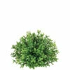 Coupon 👍 Sullivans New England Boxwood Half Orb ✔️ 2 Coupon 👍 Sullivans New England Boxwood Half Orb ✔️ -Sullivans Sales unnamed file 6331