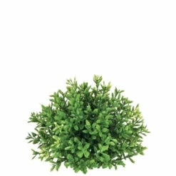 Coupon 👍 Sullivans New England Boxwood Half Orb ✔️