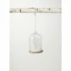 Flash Sale ✔️ Sullivans Trees In Cloche Glass Ornament 🛒 -Sullivans Sales unnamed file 6411