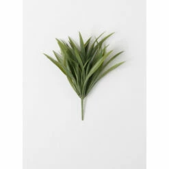 Cheap ✔️ Sullivans Yucca Bush 🤩