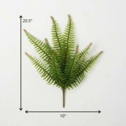 Wholesale 😉 Sullivans Artificial Billowing Green Fern Bush 🛒 -Sullivans Sales unnamed file 6471