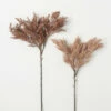 Outlet 🥰 Sullivans Artificial Faux Dried Blush Grass Stem - Set Of 2 😉 -Sullivans Sales unnamed file 6484