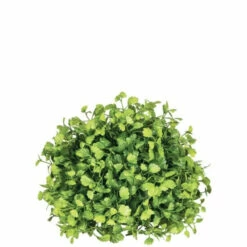 Outlet 🔔 Sullivans Maiden Hair Fern Orb - Green 🔔