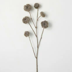 Budget ✔️ Sullivans Artificial Faux Dried Brown Pod Stem 🤩