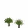 Promo 👏 Sullivans Feather Fern Potted Orbs - Set Of 2 😉 -Sullivans Sales unnamed file 6630