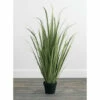 Best Sale 🌟 Sullivans Onion Grass Potted - Green 💯 -Sullivans Sales unnamed file 6680