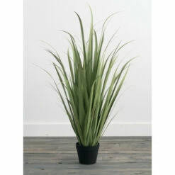 Best Sale 🌟 Sullivans Onion Grass Potted - Green 💯
