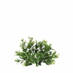 Deals ✨ Sullivans Artificial 5" Boxwood Mini Wreath 😍