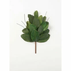 Deals 🔔 Sullivans Magnolia Leaf Bush - Green ✔️
