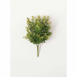 Budget 🔔 Sullivans New England Boxwood Bush - 9"L X 9"W X 12"H 😍
