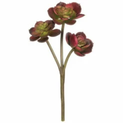 Outlet 🔥 Sullivans Succulent Pick - 5"L X 3.5"W X 8"H 🔥