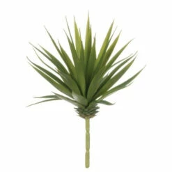 Best Pirce 👍 Sullivans Marginata Succulent - Green ⭐