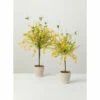 Wholesale 🔔 Sullivans Yellow Wispy Topiary - Set Of 2 🧨