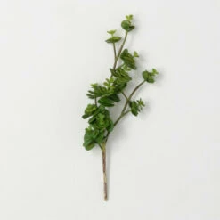 Buy 🎁 Sullivans Artificial Sedum Succulent Stem 🤩