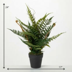 Discount ✨ Sullivans Artificial Plump & Full Potted Fern 🤩 -Sullivans Sales unnamed file 6844