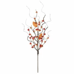 Best deal 😀 Sullivans Bittersweet Pick 😉