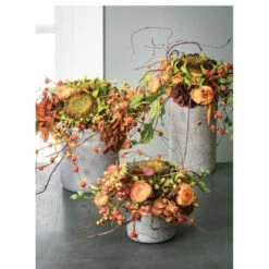 Cheap โค๏ธ Sullivans Bittersweet Spray ๐ 5 Cheap โค๏ธ Sullivans Bittersweet Spray ๐ -Sullivans Sales unnamed file 6848