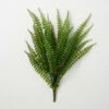 Best Sale ๐ Sullivans Artificial Lush Green Fern Fronds Bush โ 1 Best Sale ๐ Sullivans Artificial Lush Green Fern Fronds Bush โ -Sullivans Sales unnamed file 6851