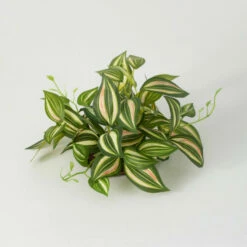 Brand new 🔔 Sullivans Artificial Inch Plant Orb ❤️