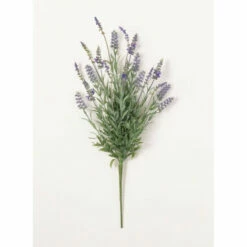 Best Pirce ✔️ Sullivans Lavender Bush - Purple 🤩