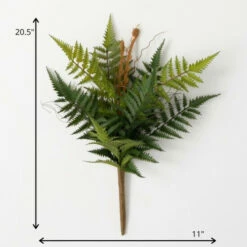 Best Pirce 👍 Sullivans Artificial Plump & Full Fern Stem 🔥 -Sullivans Sales unnamed file 6928