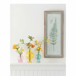 Hot Sale 😀 Sullivans Mimosa Spray 🎁 7 Hot Sale 😀 Sullivans Mimosa Spray 🎁 -Sullivans Sales unnamed file 6945