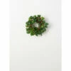 Hot Sale 🌟 Sullivans 10" Berry Leaf Artificial Mini Wreath 💯 -Sullivans Sales unnamed file 6952