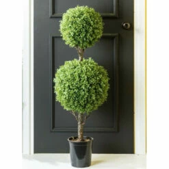 Discount 😀 Sullivans Boxwood 2 Tier Topiary Tree - 14"L X 14"W X 48"H 😍 -Sullivans Sales unnamed file 6960