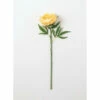 Buy โค๏ธ Sullivans Real Garden Peony Stem ๐ 2 Buy โค๏ธ Sullivans Real Garden Peony Stem ๐ -Sullivans Sales unnamed file 7004
