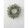Brand new 😀 Sullivans Succulent Wreath ❤️ -Sullivans Sales unnamed file 7011