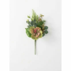 Top 10 👍 Sullivans Oleracea Pick ⌛