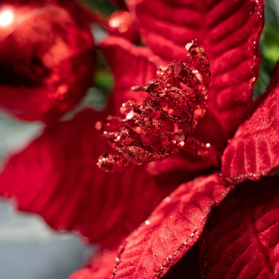 Cheapest ๐ Sullivans 24" Artificial Poinsettia And Pine Wreath ๐ 4 Cheapest ๐ Sullivans 24" Artificial Poinsettia And Pine Wreath ๐ - Image 2