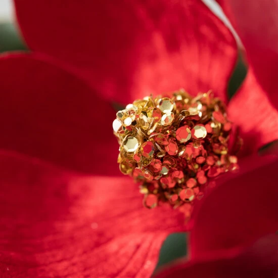 Coupon ✨ Sullivans 49.5" Artificial Magnolia Berry Spray ✔️ 4 Coupon ✨ Sullivans 49.5" Artificial Magnolia Berry Spray ✔️ - Image 2