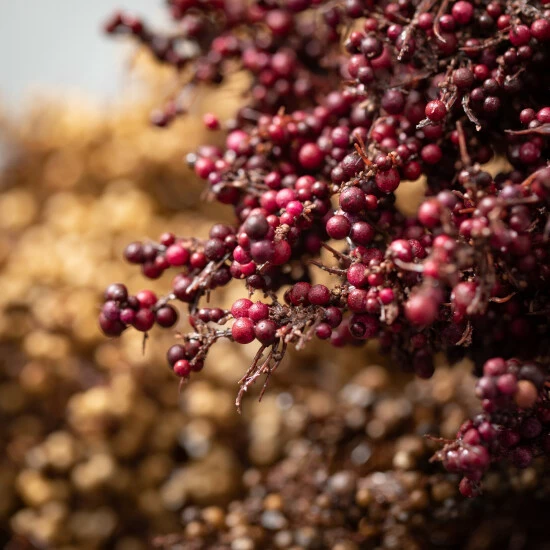 New ๐ฅฐ Sullivans 38.5" Artificial Broom Corn Rustic Spray - Set Of 3 ๐ 4 New ๐ฅฐ Sullivans 38.5" Artificial Broom Corn Rustic Spray - Set Of 3 ๐ - Image 2