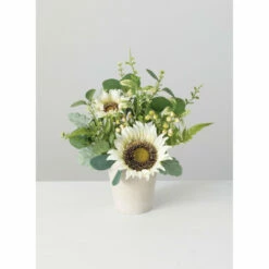 Deals 😉 Sullivans 02364Wrer Euc Berry Potted - Green 😀