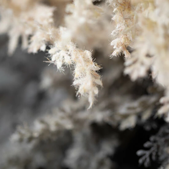 Best Pirce ๐ Sullivans 56.5" Artificial Gray Cream Corn Spray - Set Of 2 โ 4 Best Pirce ๐ Sullivans 56.5" Artificial Gray Cream Corn Spray - Set Of 2 โ - Image 2