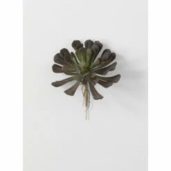 Budget 🔔 Sullivans Echeveria Succulent Pick - 7"L X 7"W X 7"H 👏