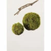Best deal 😉 Sullivans Moss Orbs -Set Of 2 - Green 🔥 -Sullivans Sales unnamed file 7165