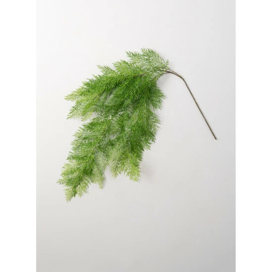 Discount 🛒 Sullivans Grass Spray ❤️ 3 Discount 🛒 Sullivans Grass Spray ❤️