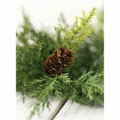 Best deal 💯 Sullivans Arborvitae Accent Ring 😀 -Sullivans Sales unnamed file 7208