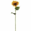 Best deal 🔥 Sullivans Sunflower Stem 🥰 -Sullivans Sales unnamed file 7216