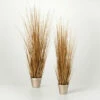 Promo 😉 Sullivans Gold Potted Onion Grass - Set Of 2 - 15"L X 15"W X 36"H; 10"L X 10"W X 30"H 🔥