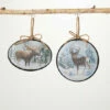 Budget ๐ Sullivans Moose And Deer Ornament - Set Of 2 โ 1 Budget ๐ Sullivans Moose And Deer Ornament - Set Of 2 โ -Sullivans Sales unnamed file 7221