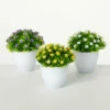 Best Sale 😍 Sullivans Artificial Potted Mini Button Flower - Set Of 3 🔥 -Sullivans Sales unnamed file 7230