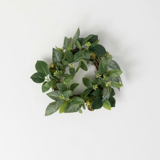 Cheapest ๐ฅฐ Sullivans Artificial 16" Israeli Ruscus Mini Wreath โ 3 Cheapest ๐ฅฐ Sullivans Artificial 16" Israeli Ruscus Mini Wreath โ