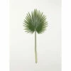 Top 10 😉 Sullivans Palmetto Leaf - 18.5"L X .5"W X 39.5"H 👍 -Sullivans Sales unnamed file 7290