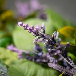 Buy โจ Sullivans Artificial 13.5" Lavender Foliage Mini Wreath ๐ 6 Buy โจ Sullivans Artificial 13.5" Lavender Foliage Mini Wreath ๐ -Sullivans Sales unnamed file 7323