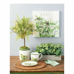 Best deal ✨ Sullivans Herb Topiaries - Set Of 2 - Green ✔️ -Sullivans Sales unnamed file 7344