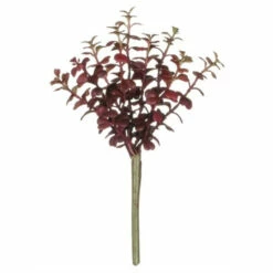 Promo 😀 Sullivans Succulent Pick - 6"L X 5"W X 9"H 😉